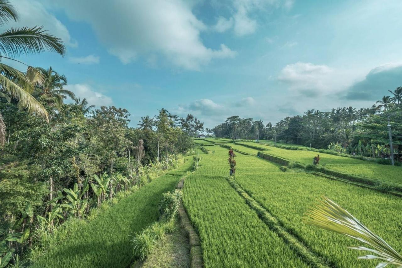 Gasthuis Sanggraloka Ubud